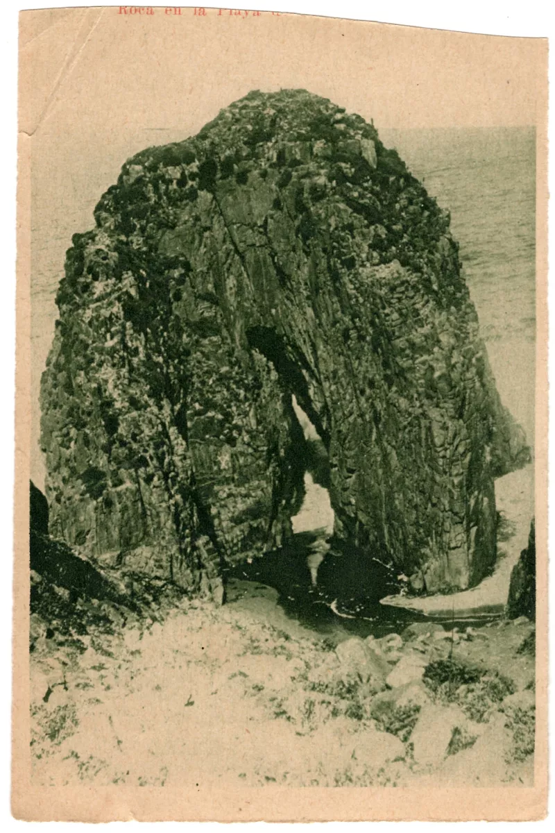Roca de calabocillos en Constitución