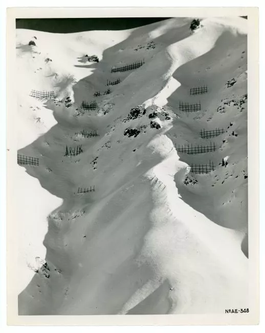 Paisaje nevado, Sewell
