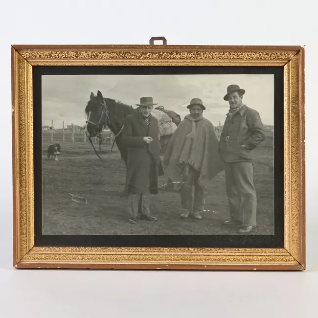Fotografía de campo