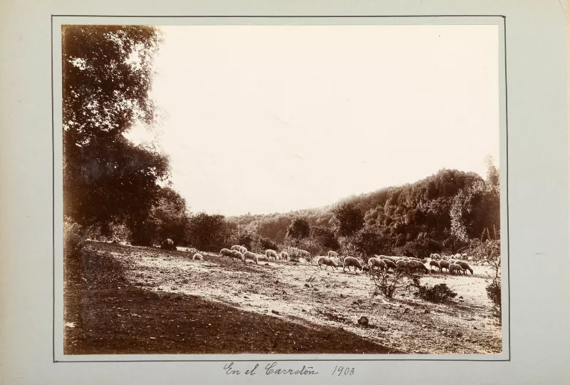 En el Carretón 