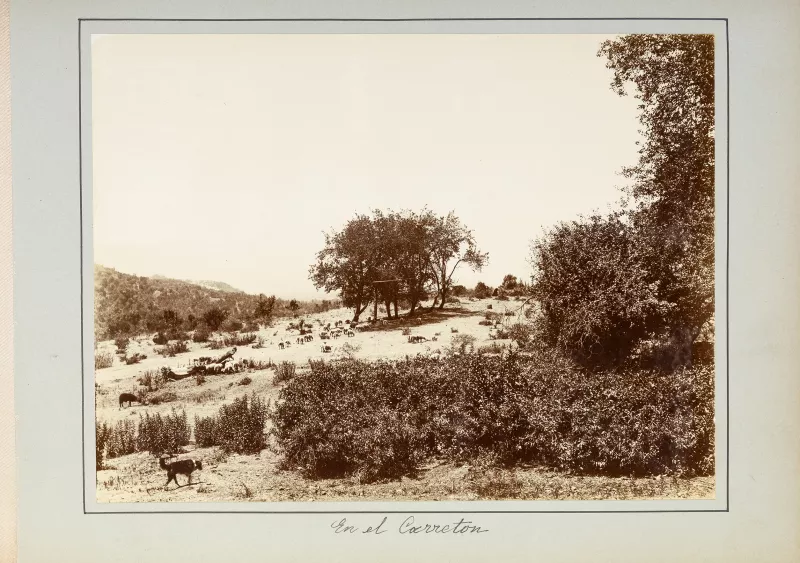 En el Carretón 