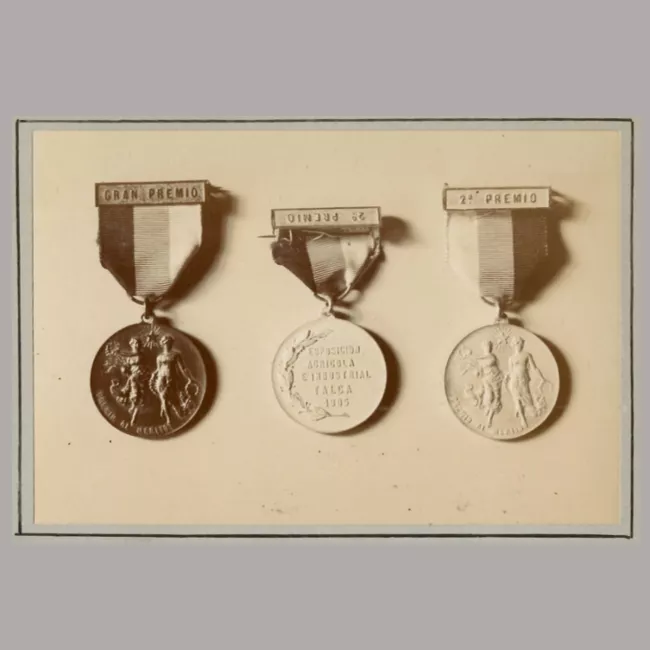 Premios de la Exposición Agrícola e Industrial de Talca