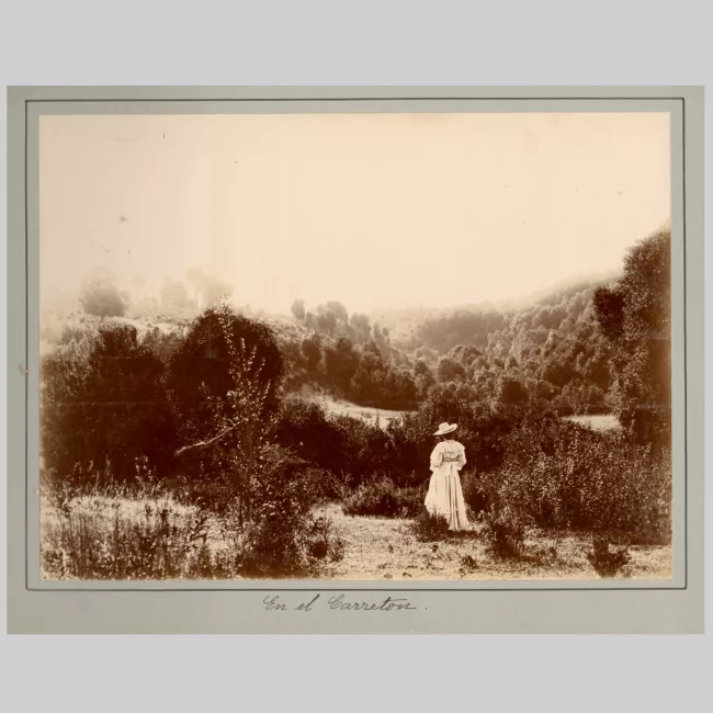 Mujer en el Carretón