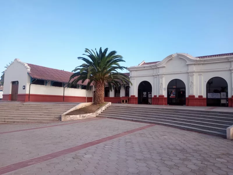 117 BC1, Biblioteca Pública Victor Domingo Silva