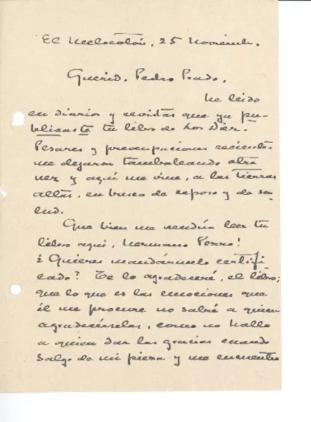 [Carta] 1915 nov. 25, El Melocotón, Chile [a] Pedro Prado  [manuscrito] Manuel Magallanes Moure.