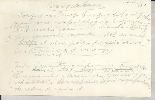 Aserradero  [manuscrito] [Gabriela Mistral].