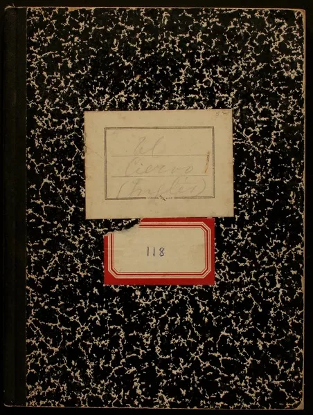 [Cuaderno 118]  [manuscrito] Gabriela Mistral.