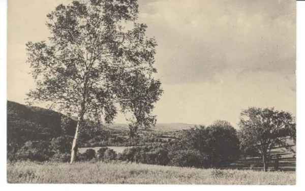 [Tarjeta postal] [1946] août 5, Sharon, Conn., [EE.UU.] [a] Gabriela Mistral, 1305, Buena Vista, Monrovia, California, [EE.UU.]  [manuscrito] Frances [Mason].