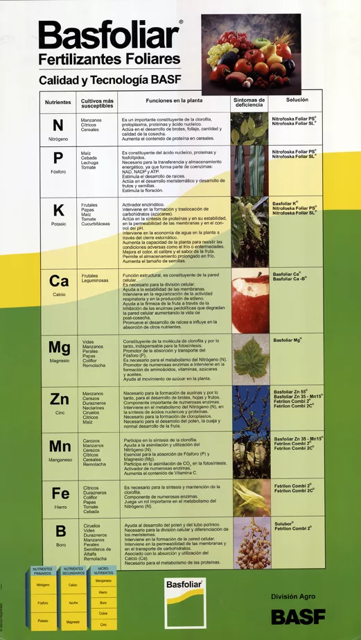 Basfoliar fertilizantes foliares, calidad y tecnología BASF. [estampa] :
