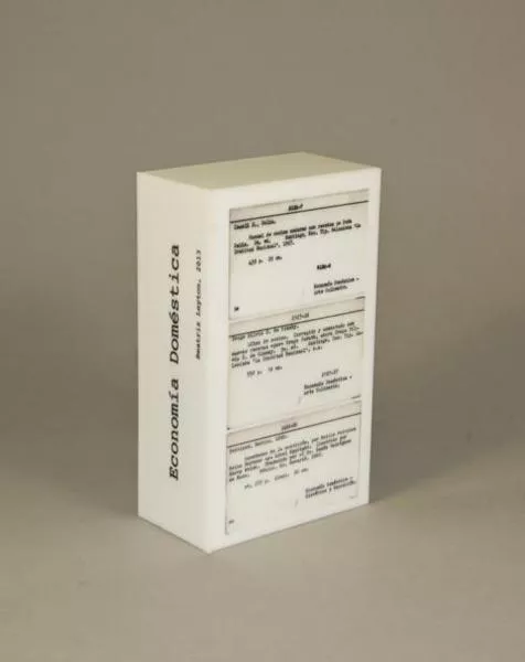 Economía doméstica  [realia] Beatriz Leyton.