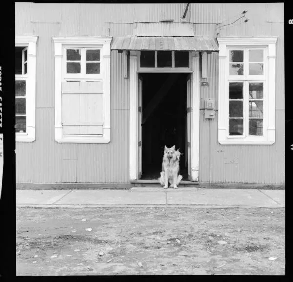 Chiloé 1973 [Calles y casas de la isla] : [fotografía] Armindo Cardoso.