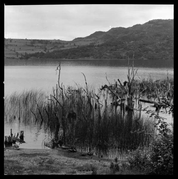 Chiloe 1973  [fotografía] Armindo Cardoso.