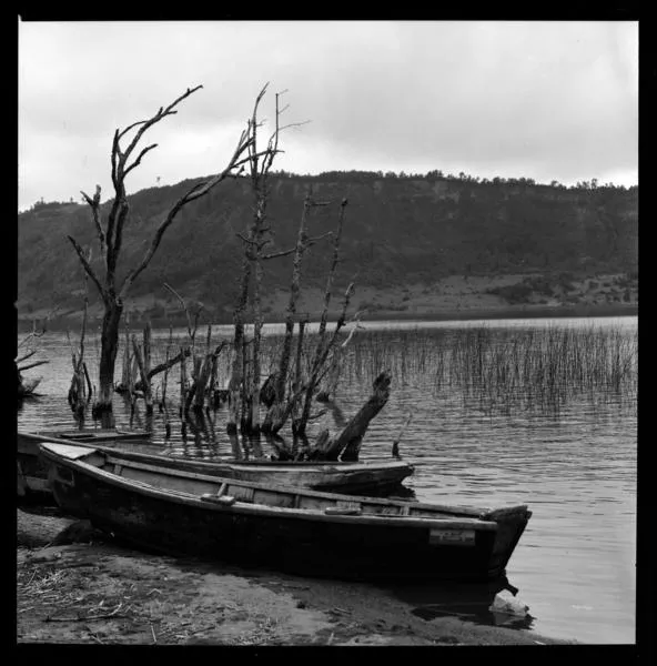 Chiloé 1973  [fotografía] Armindo Cardoso.