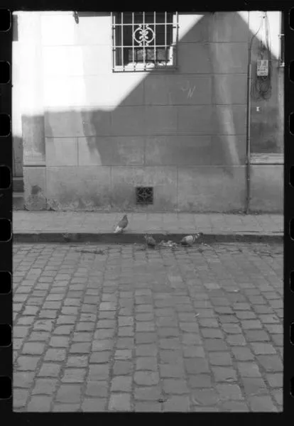 [Londres 98]  [fotografía] Armindo Cardoso.