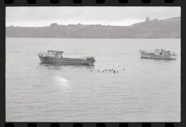 Isla Chiloé  [fotografía] Armindo Cardoso.