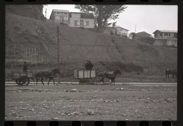Isla Chiloé  [fotografía] Armindo Cardoso.