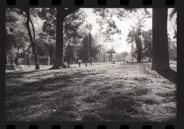 Santiago : [Interior del Parque Quinta Normal] [fotografía] Armindo Cardoso.
