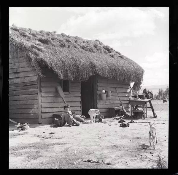 Mapuches  [fotografía] Armindo Cardoso.