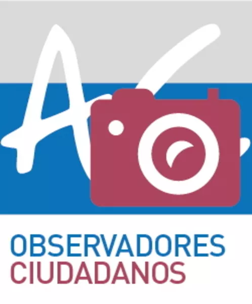 Observadores ciudadanos  [recurso electrónico]