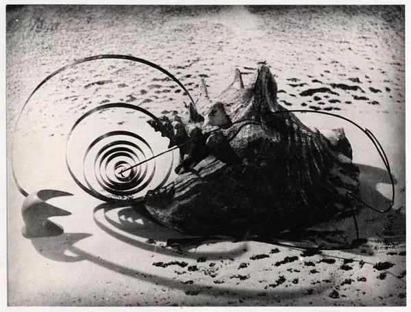 Espirales  [fotografía] Domingo Ulloa.