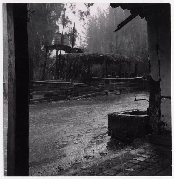 Camino a Constitución en día de lluvia  [fotografía] Domingo Ulloa.