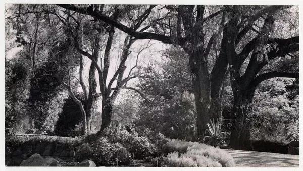 Parque de Lota  [fotografía] Domingo Ulloa.