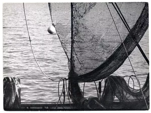 Valparaíso  [fotografía] Domingo Ulloa.