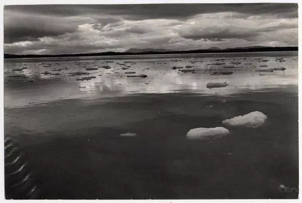 Témpanos en Laguna San Rafael  [fotografía] Domingo Ulloa.
