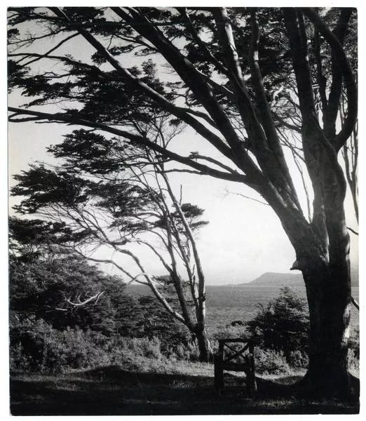 Estrecho de Magallanes  [fotografía] Domingo Ulloa.