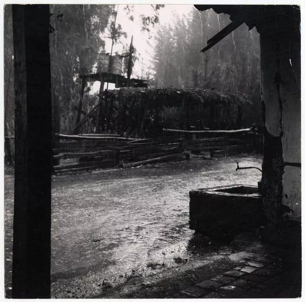Tarde de lluvia camino a Constitución  [fotografía] Domingo Ulloa.