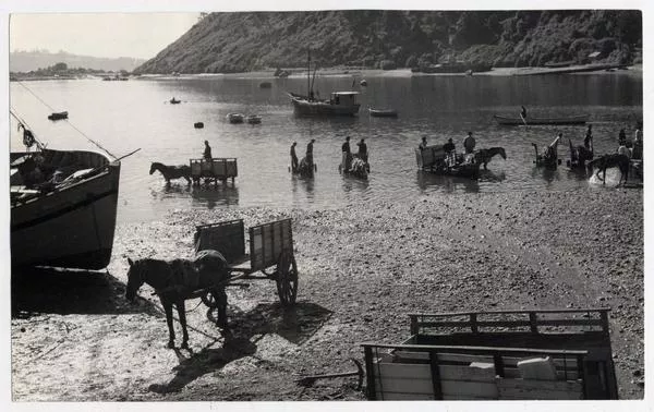 Caleta de Angelmó  [fotografía] Domingo Ulloa.