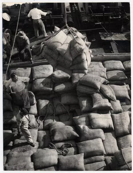 Desde un barco: desembarcando azúcar de caña para (CRAV)  [fotografía] Domingo Ulloa.