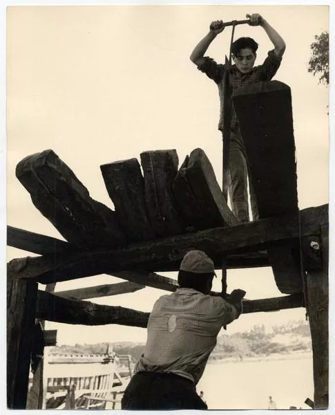 Astilleros del Maule: Aquí trabajan obreros de todas las edades cortando cuadernas  [fotografía] Domingo Ulloa.