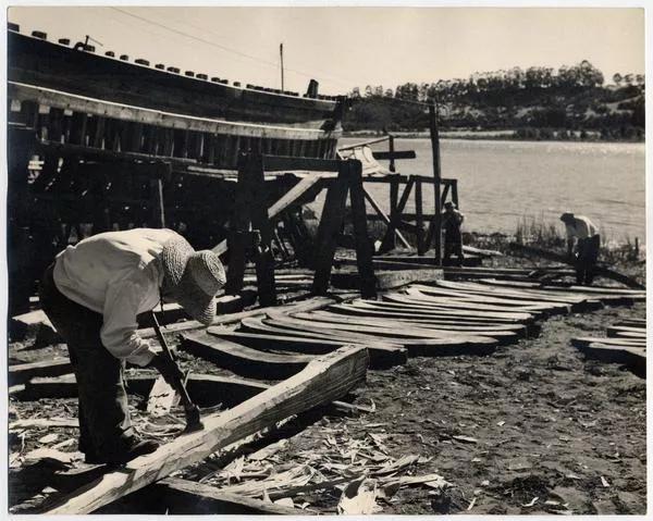Con azuela dan distintas formas a los maderos que componen el esqueleto de los lanchones. Aquí preparan el deslizadero de un lanchón que empezarán a construir  [fotografía] Domingo Ulloa.