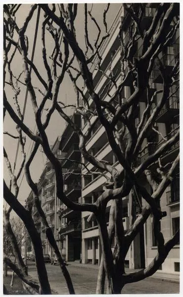 Calle Ismael Valdés Vergara  [fotografía] Domingo Ulloa.