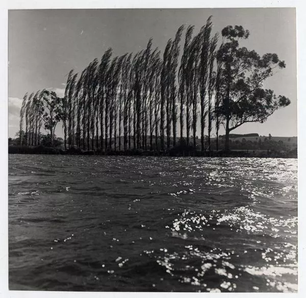 [Vista del Río Valdivia]  [fotografía] Antonio Quintana.