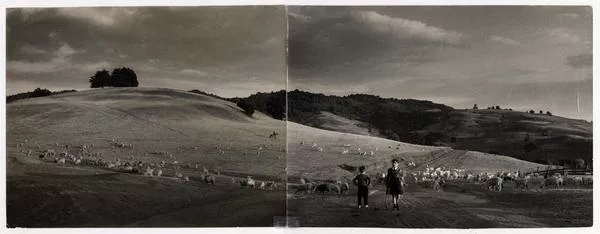 Fundo de don Pedro Unzut : los niños son Alicita y Pepe, hijos de Ulloa [fotografía] Domingo Ulloa.