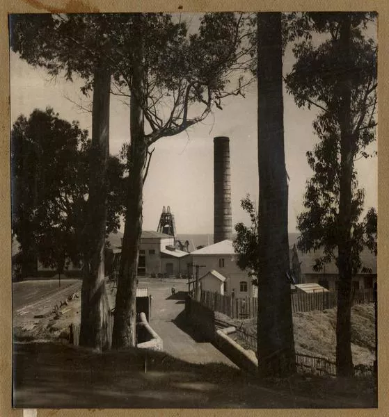 [Entrada a un recinto no identificado en Lota]  [fotografía]