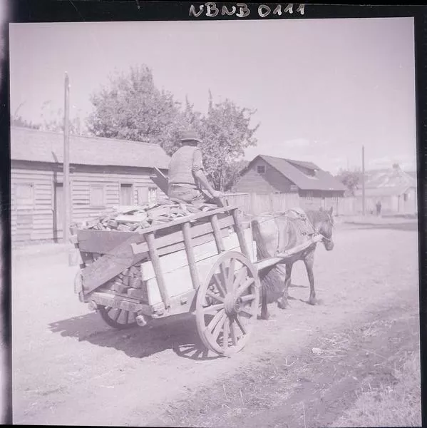 [Hombre transporta madera en una carreta tirada por un caballo; comunidad rural]  [fotografía] Ignacio Hochhäusler.