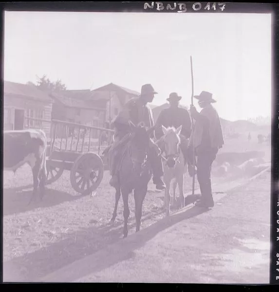 [Campesinos a caballo junto a una carreta con bueyes; comunidad rural]  [fotografía] Ignacio Hochhäusler