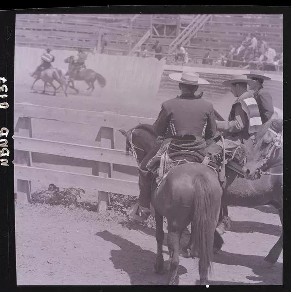 [Rodeo campesino chileno]  [fotografía] Ignacio Hochhäusler.