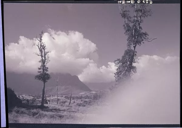 [Paisaje campestre]  [fotografía] Ignacio Hochhäusler.