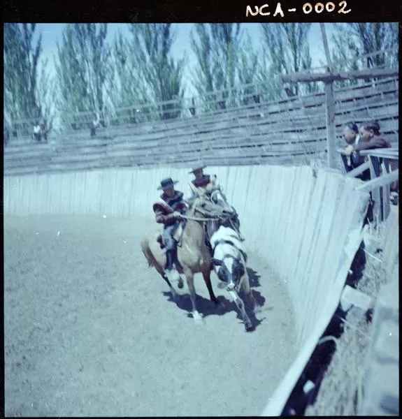 [Rodeo a la chilena]  [fotografía] Ignacio Hochhäusler.