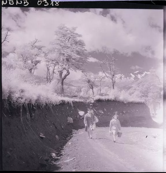[Mamá e hija; caminan por un sector rural, portan canasto, maleta y balde]  [fotografía] Ignacio Hochhäusler.