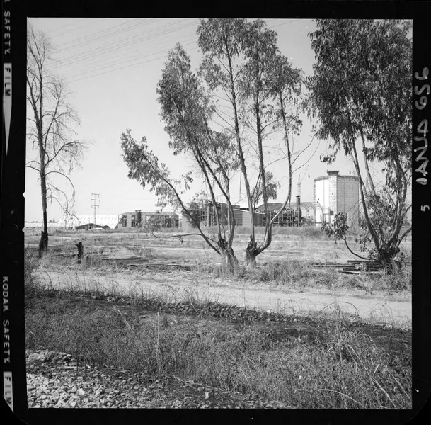 Iansa (Chile) : Planta Curicó [fotografía] Luis Ladrón de Guevara.