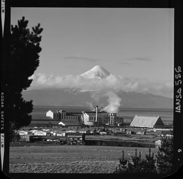 [Iansa (Chile) : Planta llanquihue] [fotografía] Luis Ladrón de Guevara.