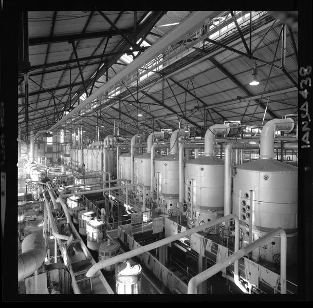 [Iansa (Chile) : Planta Llanquihue] [fotografía] Luis Ladrón de Guevara.