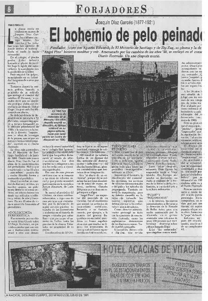 El bohemio de pelo peinado  [artículo] Pablo Portales.