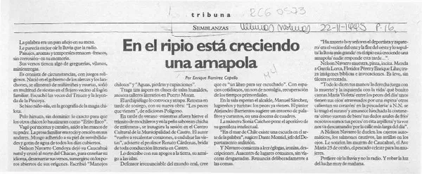 En el ripio está creciendo una amapola  [artículo] Enrique Ramírez Capello.