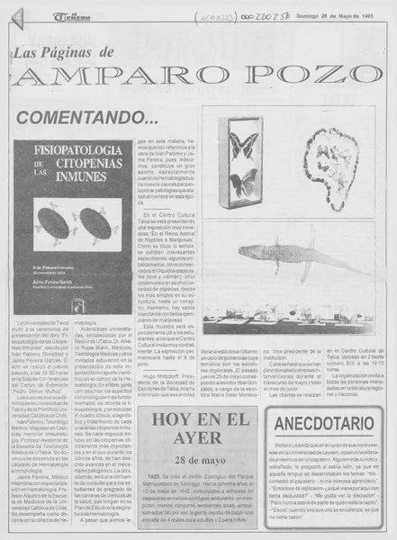 Comentando --  [artículo] Amparo Pozo.